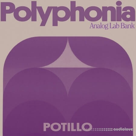 Potillo Polyphonia Analog Lab Bank
