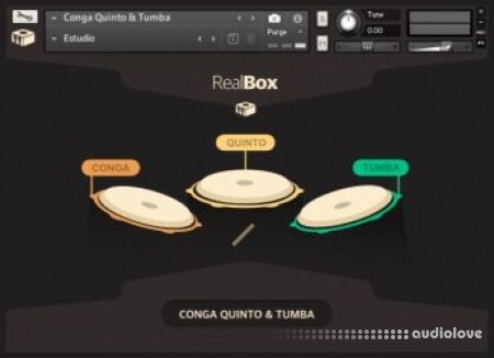 RealBox Conga Quinto and Tumba v1.0 KONTAKT