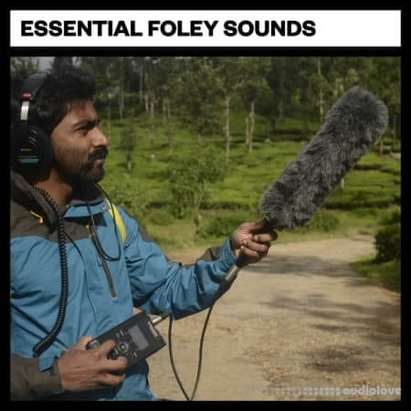 Big Room Sound Essential Foley Sounds WAV
