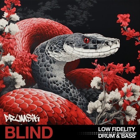 Blind Audio Low Fidelity Drum and Bass WAV