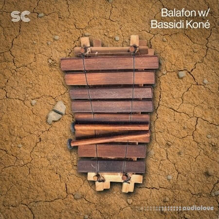 Sonic Collective Balafon w/ Bassidi Koné
