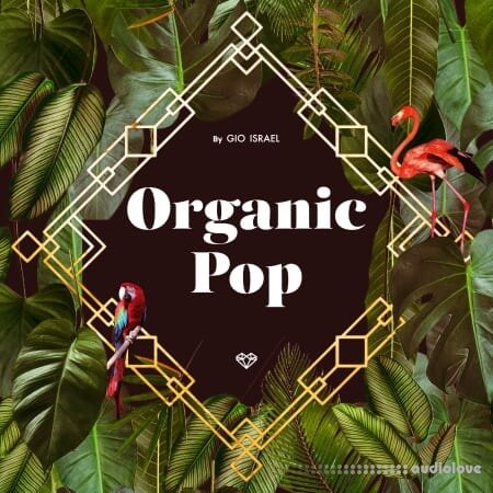 Gio Israel Organic Pop