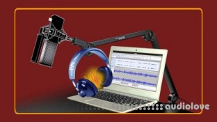 Udemy Audacity Beginners Course To Record Voice, Podcast And Music