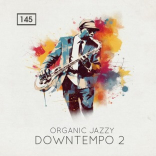 Bingoshakerz Organic Jazzy Downtempo 2