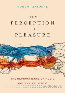 From Perception to Pleasure: The Neuroscience of Music and Why We Love It