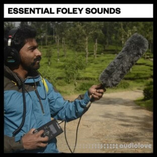 Big Room Sound Essential Foley Sounds