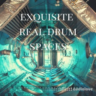 PastToFutureReverbs Exquisite Real Drum Spaces