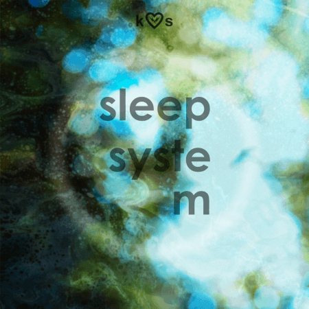 EmptyVessel KHs PhasePlant: SleepSystem