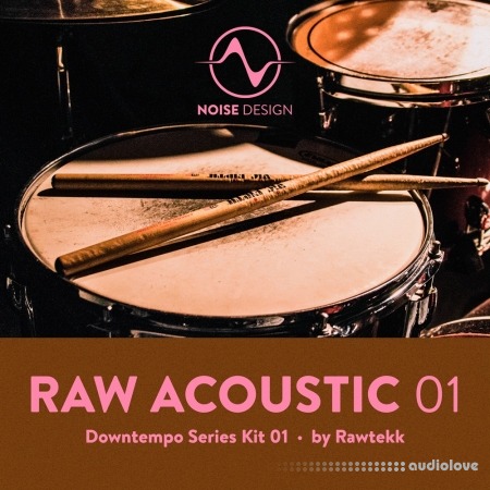 Steinberg Noise Design Raw Acoustic Downtempo 1 Synth Presets