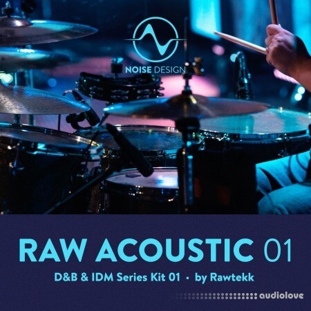 Steinberg Noise Design Raw Acoustic DnB and IDM 1 Synth Presets