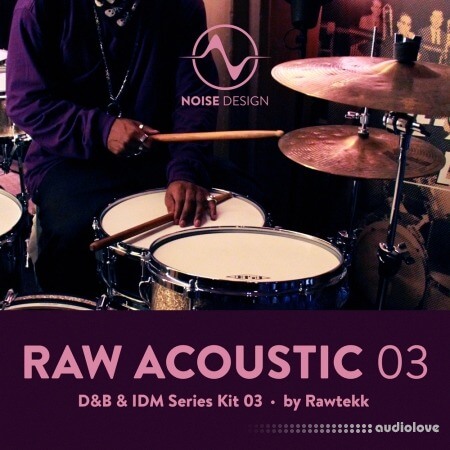 Steinberg Noise Design Raw Acoustic DnB and IDM 3 Synth Presets