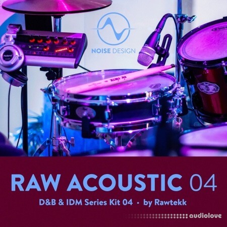 Steinberg Noise Design Raw Acoustic DnB and IDM 4 Synth Presets