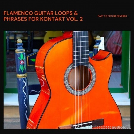 PastToFutureReverbs Flamenco Guitar Loops And Phrases Vol.2
