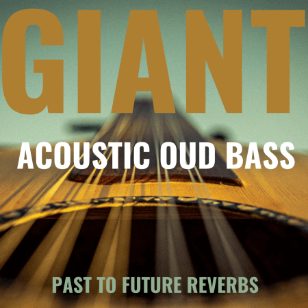 PastToFutureReverbs Giant Acoustic Round-Back Fretless Bass KONTAKT WAV