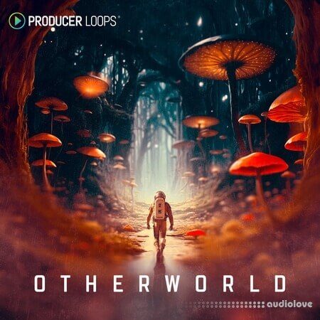 Producer Loops Otherworld MULTiFORMAT