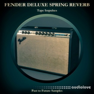 PastToFutureReverbs Fender Deluxe Spring Reverb