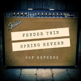 PastToFutureReverbs Fender 65 Twin Spring Reverb!
