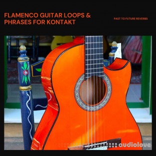PastToFutureReverbs Flamenco Guitar Loops And Phrases