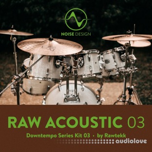 Steinberg Noise Design Raw Acoustic Downtempo 3