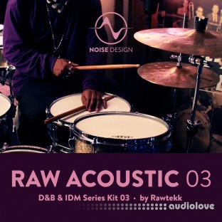 Steinberg Noise Design Raw Acoustic DnB and IDM 3