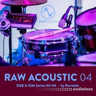 Steinberg Noise Design Raw Acoustic DnB and IDM 4