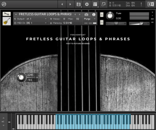 PastToFutureReverbs Fretless Guitar Loops And Phrases