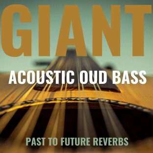 PastToFutureReverbs Giant Acoustic Round-Back Fretless Bass