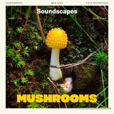 Splice Soundscapes Mushrooms WAV
