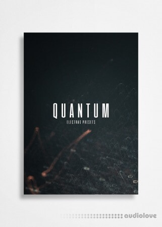 The Kit Plug Quantum ElectraX 2 Presets Synth Presets