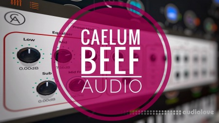 Caelum Audio Beef v1.0.0 MacOSX