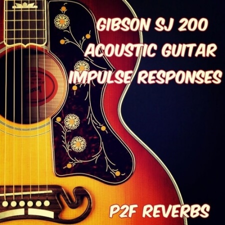 PastToFutureReverbs Gibson SJ 200 and Taylor 314CE Acoustic Guitar Profiles For Kemper!