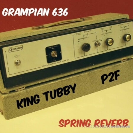 PastToFutureReverbs Grampian 636 King Tubby Spring Reverb