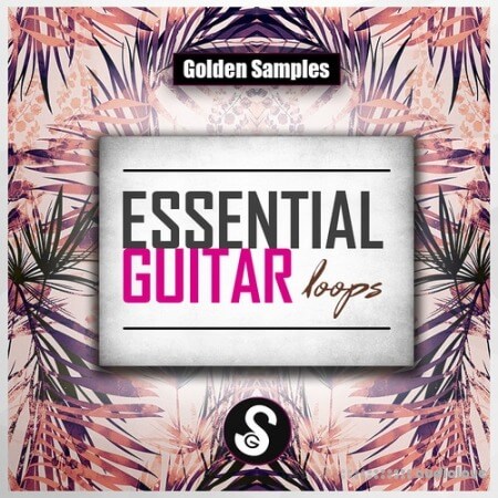 Golden Samples Essential Guitar Loops Vol.1 WAV MiDi