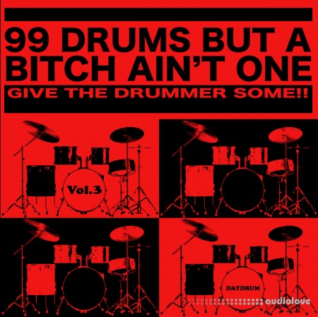 Daydrum 99 Drums But A Bitch Ain't One Vol.3 WAV