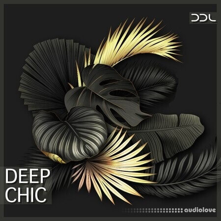 Deep Data Loops Deep Chic