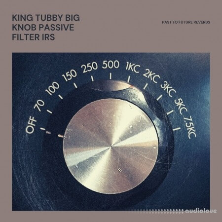 PastToFutureReverbs King Tubby Big Knob Passive Filter IRS
