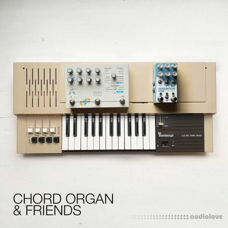 David Hilowitz Chord Organ and Friends Patreon Exclusive Decent Sampler Synth Presets