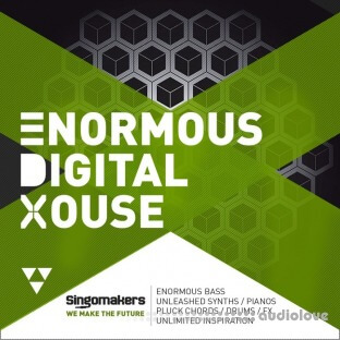 Singomakers Enormous Digital House