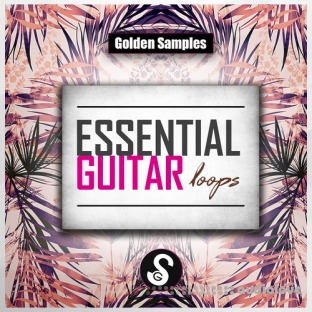 Golden Samples Essential Guitar Loops Vol.1