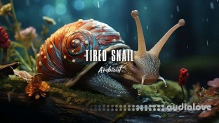 Polarity Music Tired Snail Bitwig Project