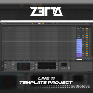 Zetta Live 11 Template Project