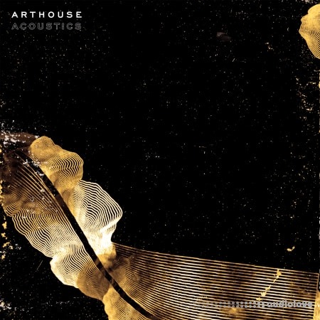 Arthouse Acoustics Tiny Feels WAV