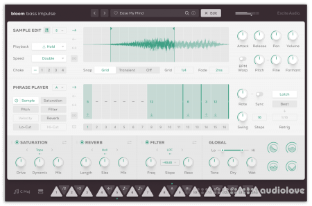 Excite Audio Bloom Bass Impulse v1.0.0 WiN