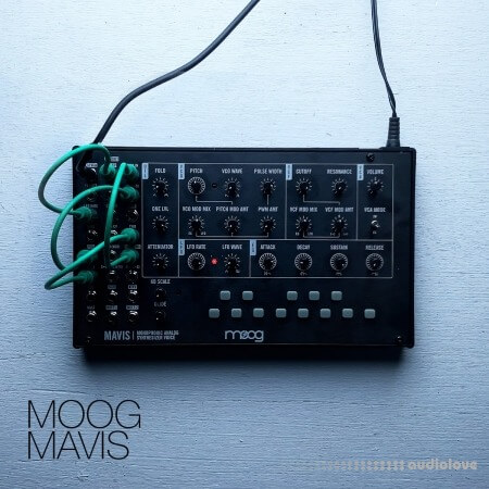 David Hilowitz Moog Mavis + Experiments [Patreon Exclusive] [Decent Sampler]