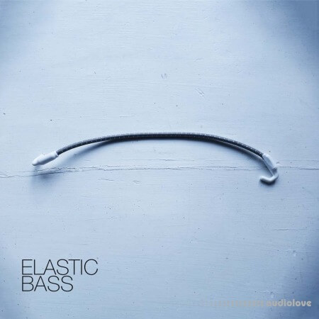 David Hilowitz Elastic Bass