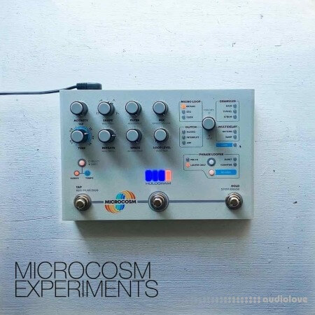 David Hilowitz Microcosm Experiments