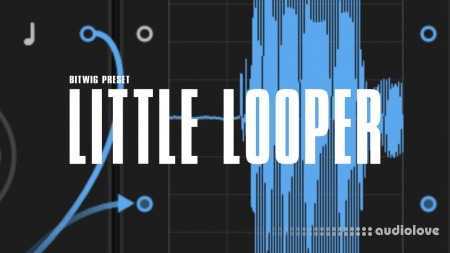 Polarity Music Little Looper Synth Presets