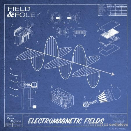 Field and Foley Electromagnetic Fields