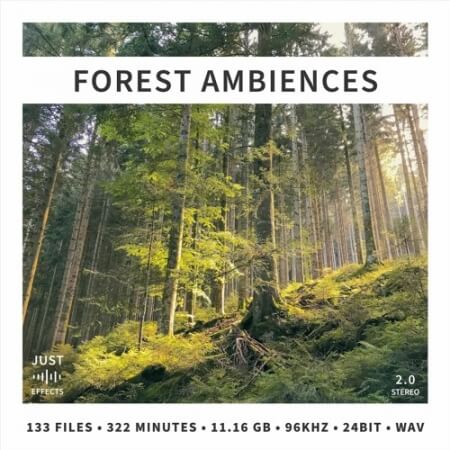 Just Sound Effects Forest Ambiences WAV
