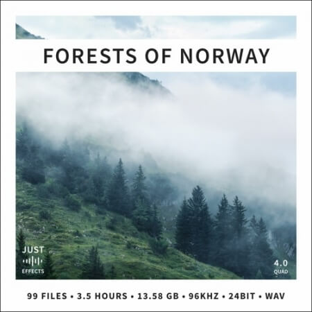 Just Sound Effects Forests of Norway Surround and Stereo WAV